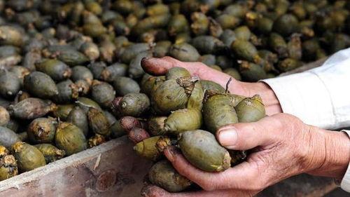 娱乐吃瓜小花当枪,揭秘当红明星背后的幕后故事